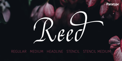 Reed Free Download