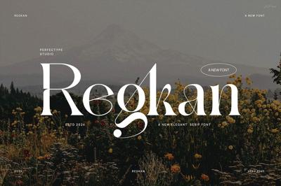 Regkan Elegant Ligature Serif Font T Free Download