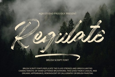 Regulate Brush Font