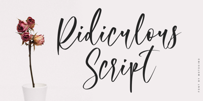 Ridiculous Script Free Download