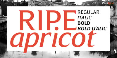 Ripe Apricot Free Download