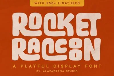Rocket Raccoon - Display Sans Font