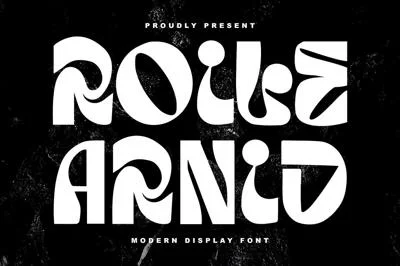 Roile Arnid Modern Display Font