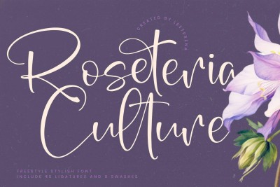 Roseteria Culture Freestyle Stylish Font