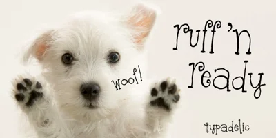 Ruff N Ready Font