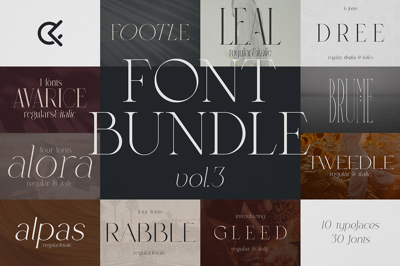 SALE! Font Bundle Vol.3 - 30 fonts Free Download