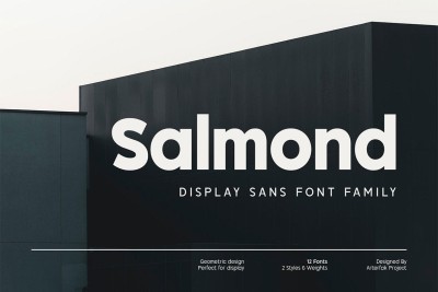 Salmond Font