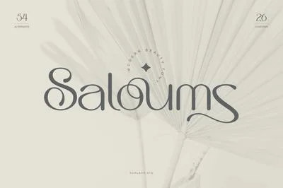 Saloums - Modern Sans Serif Font