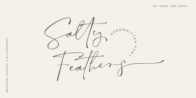 Salty Feathers Free Download