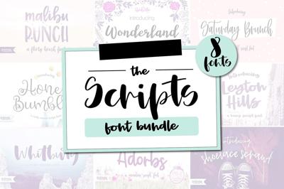 Scripts Font Bundle, 8 fonts Free Download