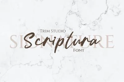 Scriptura Handwritten Signature