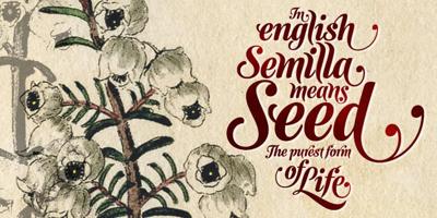 Semilla Free Download