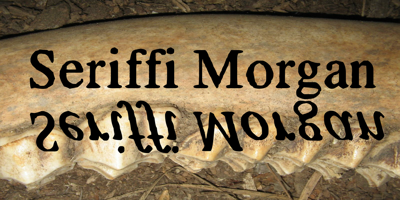 Seriffi Morgan Free Download