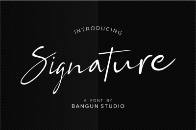 Signature font Free Download