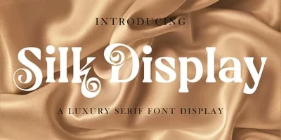 Silk Display Font