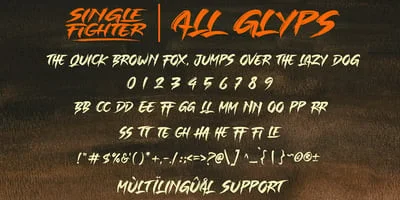 Single Fighter Font