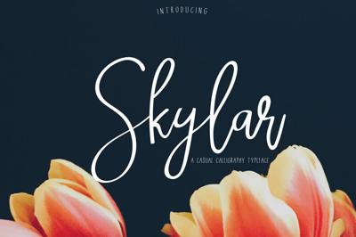 Skylar | Script Font Free Download