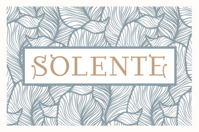 Solente Nouveau Font