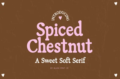 SPICED CHESTNUT Soft Serif Font