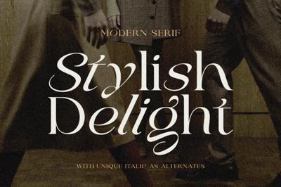 Stylish Delight - Modern Serif Free Download