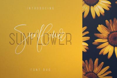 Sunflower - Font Duo Free Download