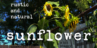 Sunflower Free Download