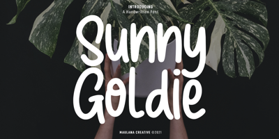 Sunny Goldie Free Download