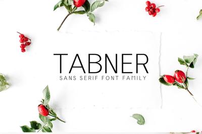 Tabner Sans Serif Font Family Free Download