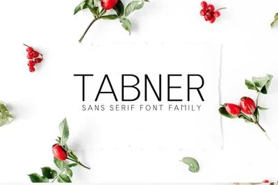 Tabner Sans Serif Font Family