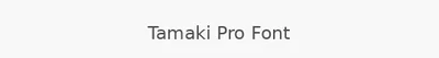 Tamaki Pro Font