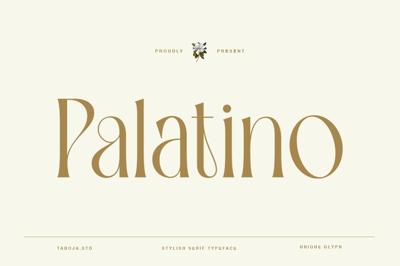 TBJ Palatino Stylish Serif Font Free Download