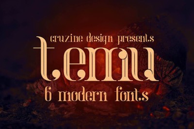 Temu - Modern Font