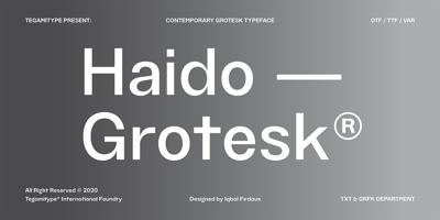 TG Haido Grotesk Free Download