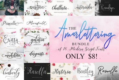 The Amarlettering Bundle of 16 Modern Script Fonts