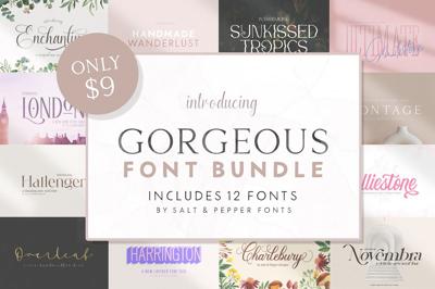 The Gorgeous Font Bundle Free Download