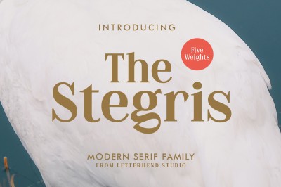 The Stegris Font