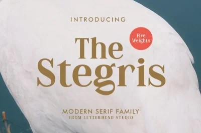 The Stegris Font