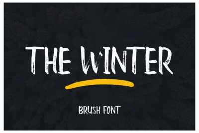 The Winter Brush Font