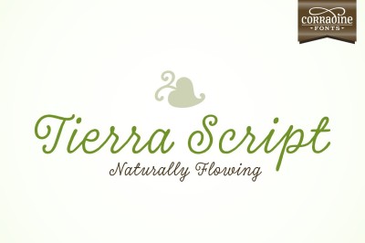 Tierra Script Font