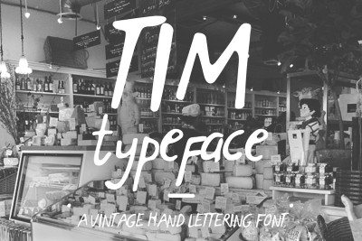 Tim Serif Font