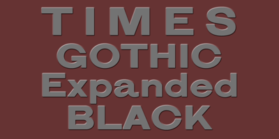 Times Gothic Free Download