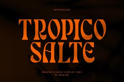 Tropico Salte | Serif Display Free Download