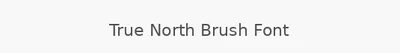 True North Brush Font