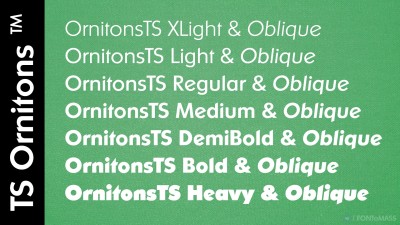 TS Ornitons Font