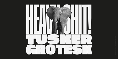 Tusker Grotesk Free Download