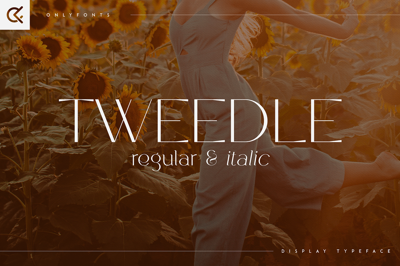 Tweedle - Display Typeface Free Download