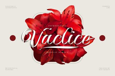 Vaclice Script Font Free Download