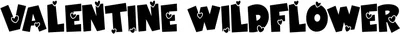 Valentine Wildflower Sans Font
