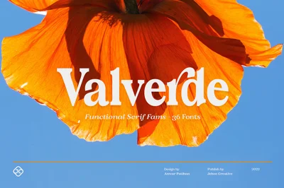Valverde Functional Serif-36 Fonts