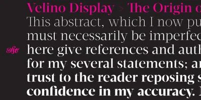 Velino Display Font